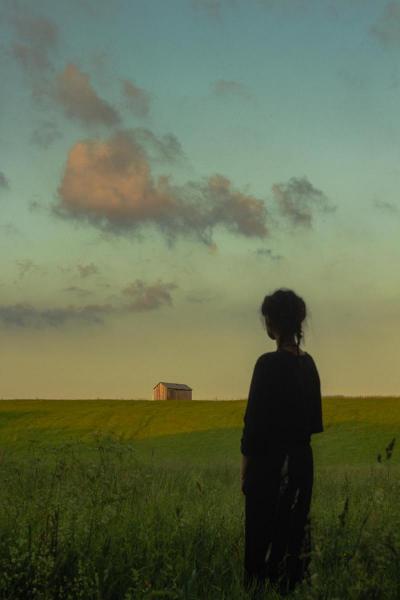 НПУМ-Златен-медал-Диме-Данов-Неготино-Пејсаж-со-девојка-во-преден-план