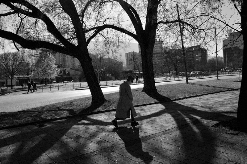 НПУ-Диплома-Филип-Лафазановски-Скопје-Човек-и-две-дрва