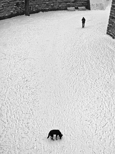 НПУ-Златен-медал-Сашо-Алушевски-Скопје-Х-О