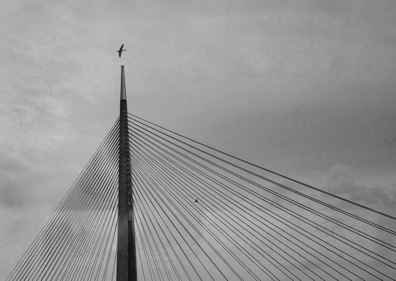 НПУ-Диплома-Неда-Арсениевска-Куманово-Freedom