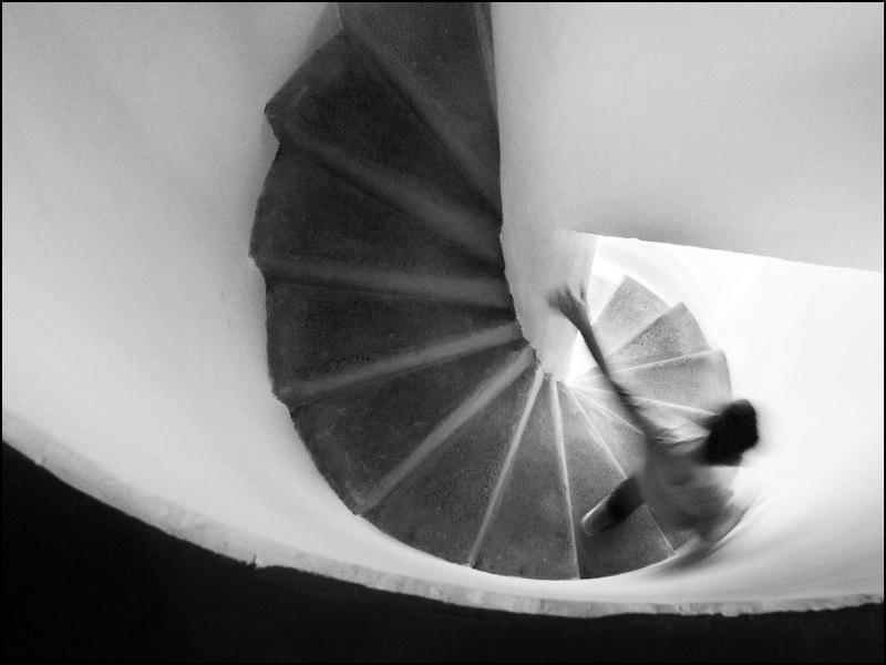 НФУ-Диплома-Владимир-Јовановски-Куманово-Fibonacci