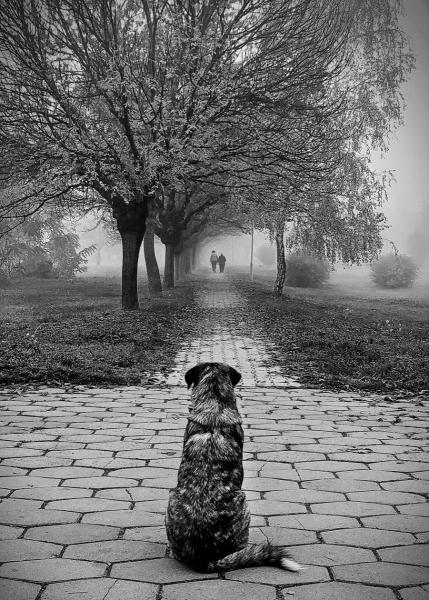 НФУ-Сребрен-медал-Анета-Илиевска-Скопје-Waiting